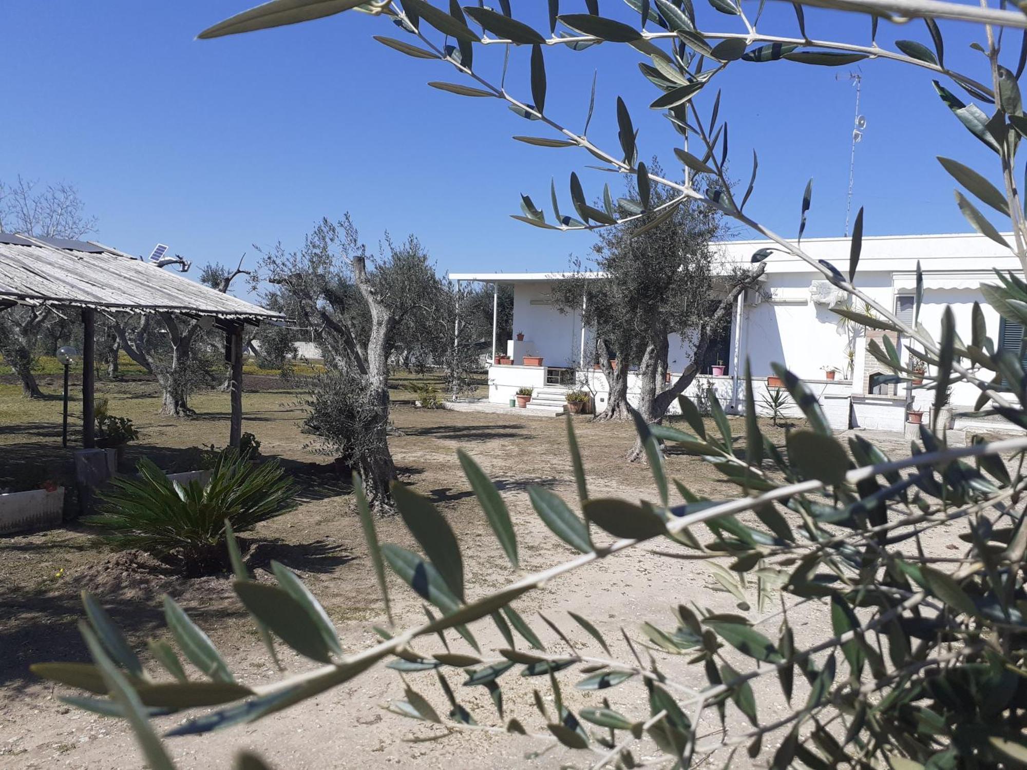 Casa Vacanza Fiorella Torre dell'Orso Pokoj fotografie