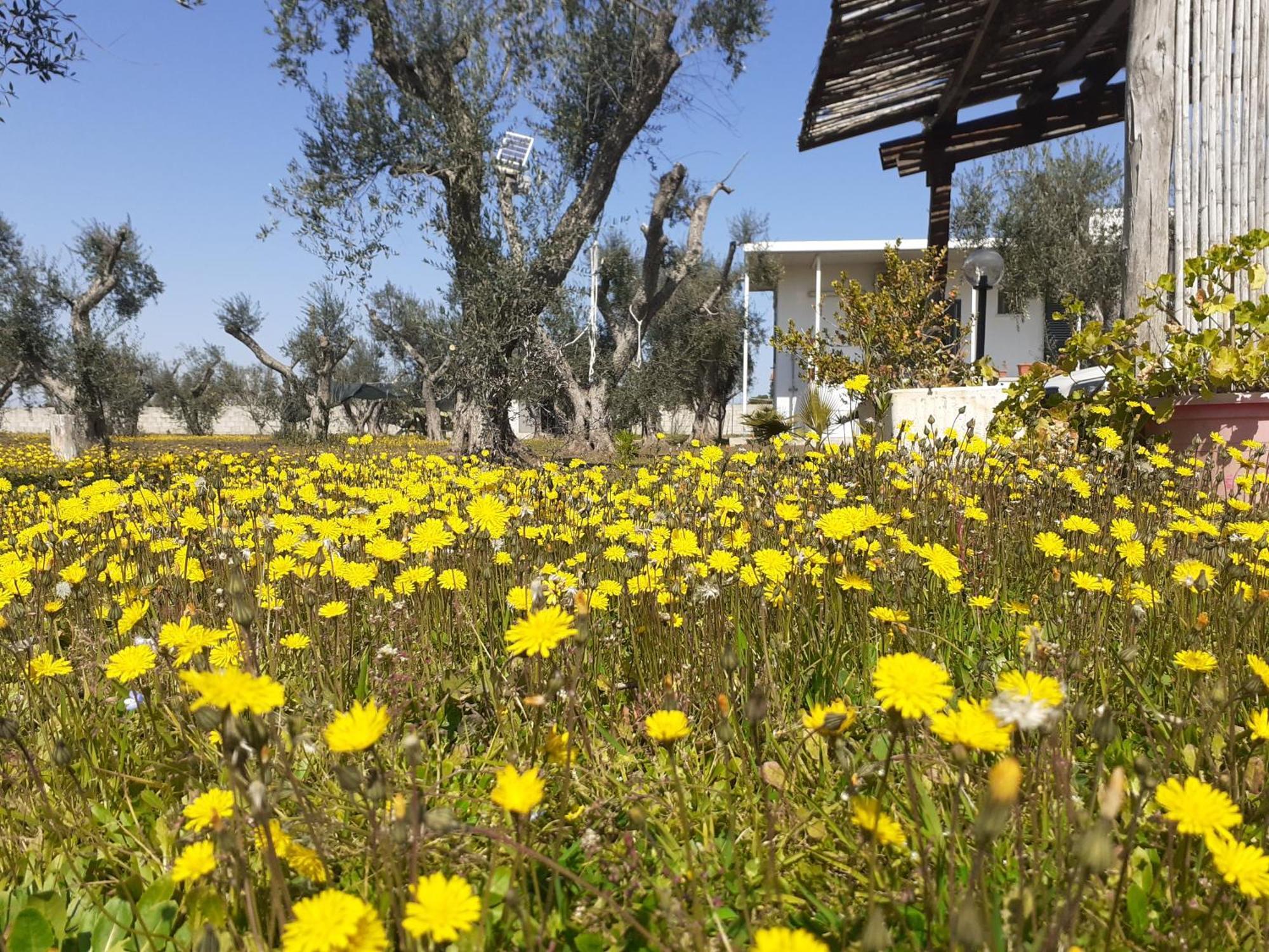 Casa Vacanza Fiorella Torre dell'Orso Pokoj fotografie