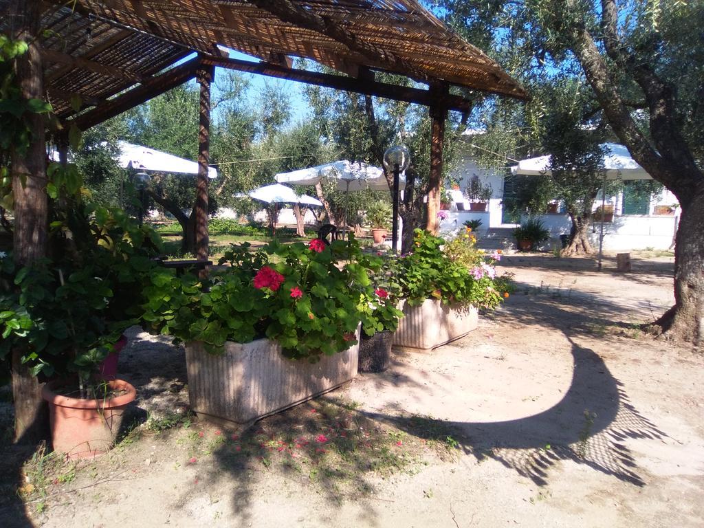 Casa Vacanza Fiorella Torre dell'Orso Exteriér fotografie